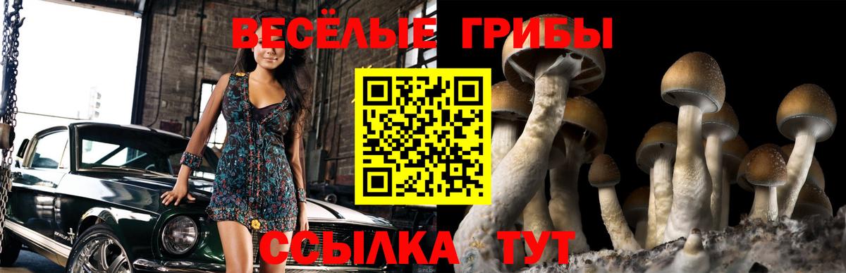 Псилоцибиновые грибы ЛСД  Псилоцибиновые грибы мицелий  как найти закладки  Вход с VPN  Оренбург 